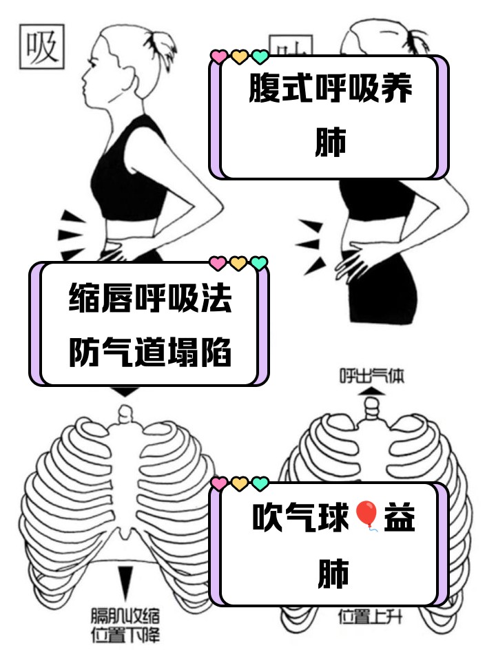 老年篮球爱好者适合的呼吸训练方法
